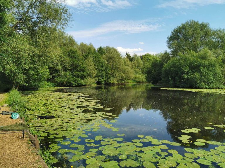 Winterley Pool Fishery