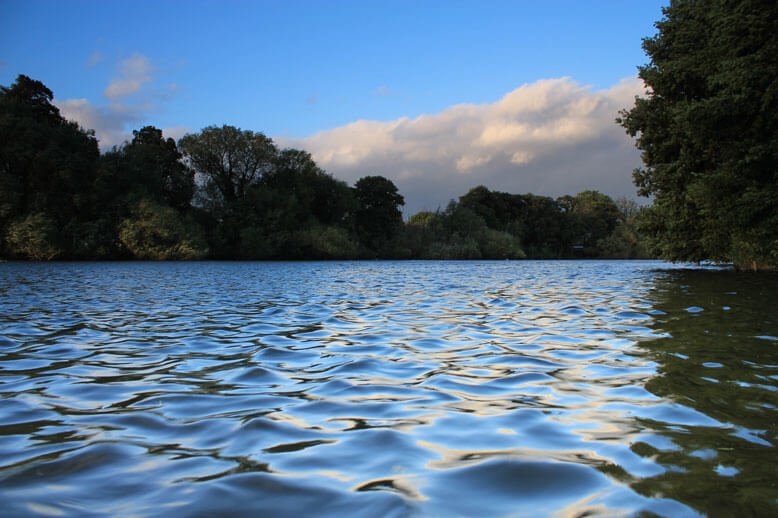 Winterley Pool Fishery